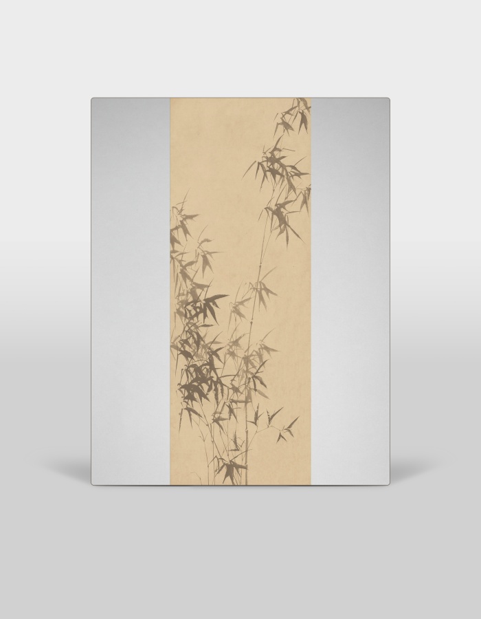 竹梦浮生